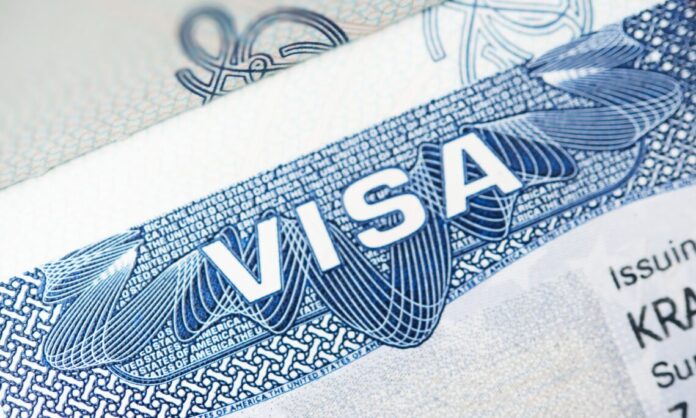 Get Expert Guidance on Your Study Visa Process