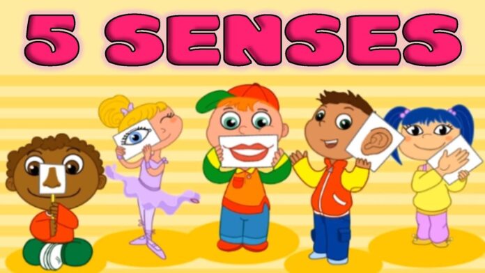 Teach Sense Organs To Preschoolers