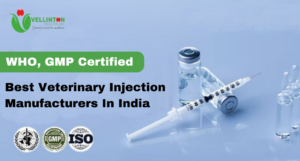 <a href="https://vellintonhealthcare.in/blog/best-veterinary-injection-manufacturers-in-india">Best Veterinary Injection Manufacturers In India</a>
