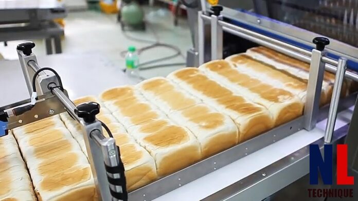 food processing machine manufacturing