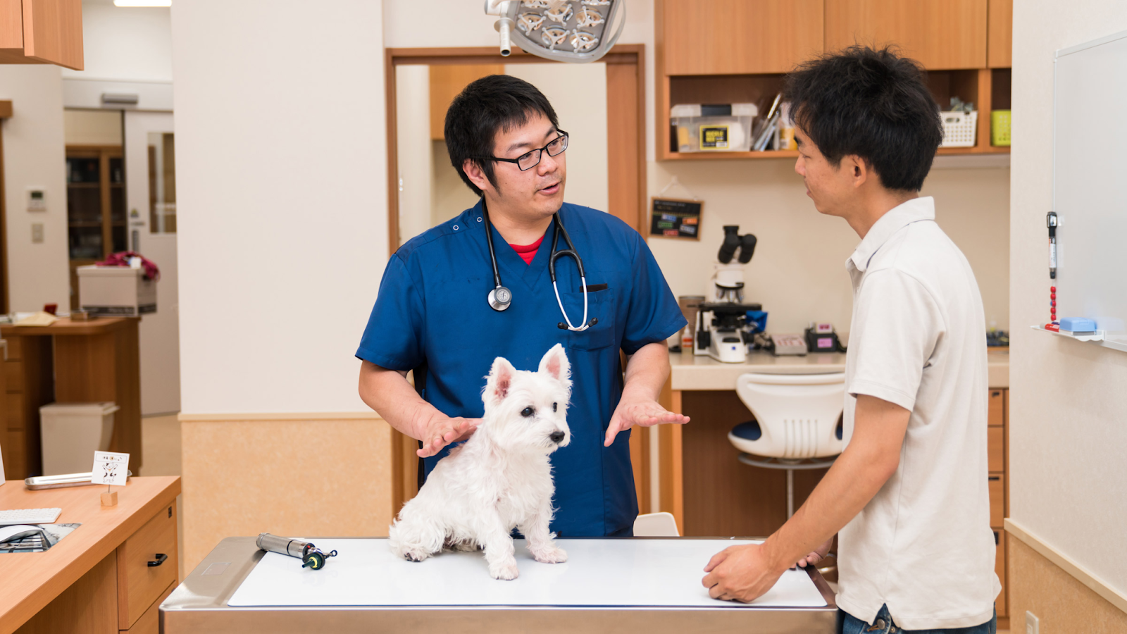 best place to buy pet meds online