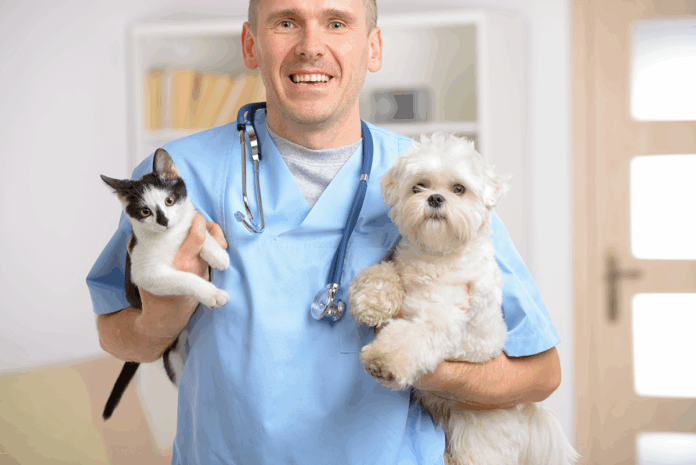best place to buy pet meds online